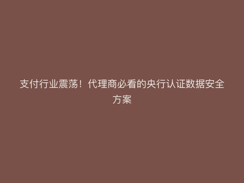 支付行业震荡！代理商必看的央行认证数据安全方案