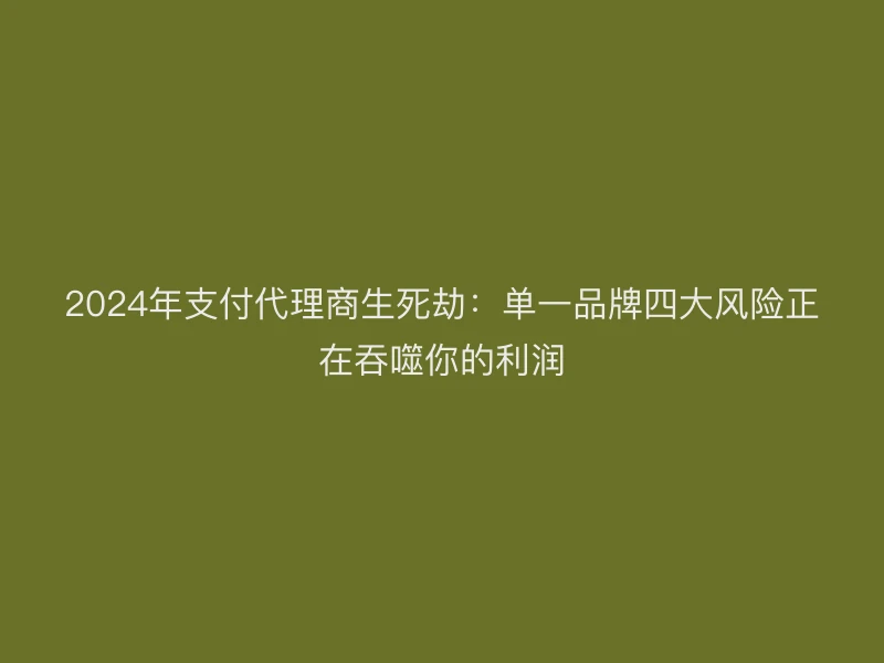 2024年支付代理商生死劫：单一品牌四大风险正在吞噬你的利润