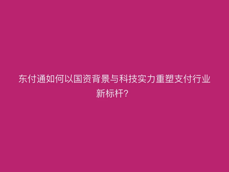 聚驰家如何以国资背景与科技实力重塑支付行业新标杆？