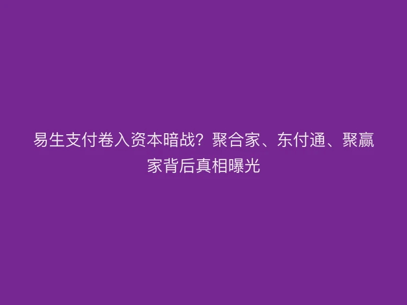 易生支付卷入资本暗战？聚合家、聚驰家、聚赢家背后真相曝光