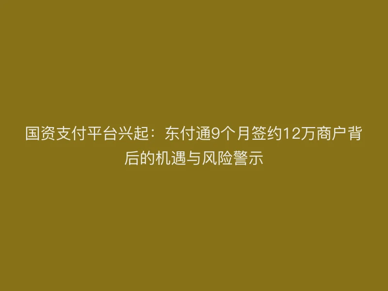 国资支付平台兴起：聚驰家9个月签约12万商户背后的机遇与风险警示