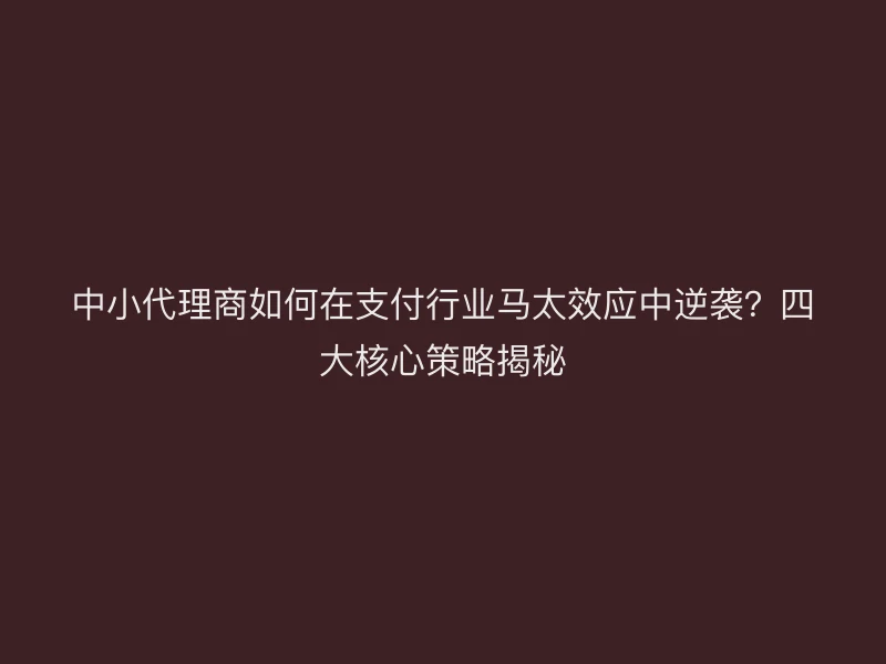 中小代理商如何在支付行业马太效应中逆袭？四大核心策略揭秘
